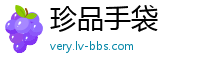 珍品手袋